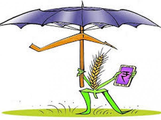 Washim: 13244 farmers benefit from kharif crop insurance | वाशिम: खरीप पीकविम्याचा १३२४४ शेतकऱ्यांना लाभ Washim: 13244 farmers benefit from kharif crop insurance | वाशिम: खरीप पीकविम्याचा १३२४४ शेतकऱ्यांना लाभ