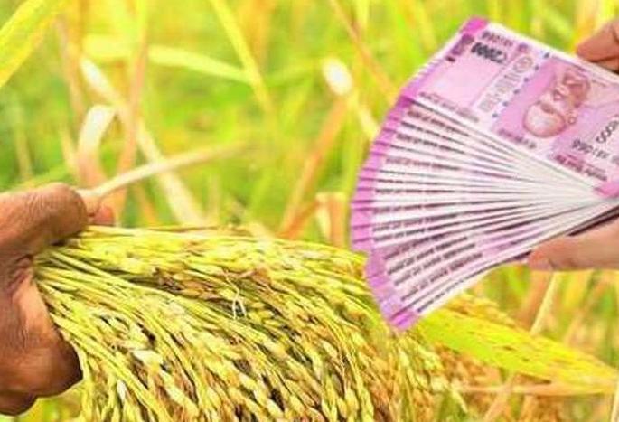 Term 15 days; 41,000 farmers did not get crop loan! | मुदत १५ दिवसांवर; ४१ हजार शेतकऱ्यांना मिळाले नाही पीक कर्ज! Term 15 days; 41,000 farmers did not get crop loan! | मुदत १५ दिवसांवर; ४१ हजार शेतकऱ्यांना मिळाले नाही पीक कर्ज!