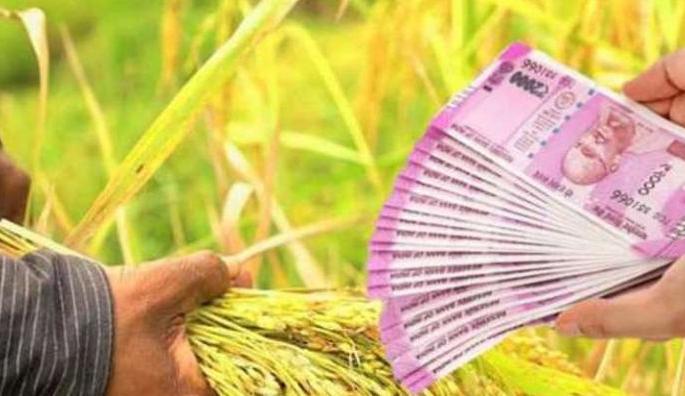 344 crore crop loan allotted in Buldana district | बुलडाणा जिल्ह्यात ३४४ कोटींचे पिककर्ज वाटप 344 crore crop loan allotted in Buldana district | बुलडाणा जिल्ह्यात ३४४ कोटींचे पिककर्ज वाटप