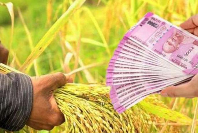 How many farmers get help ; submit the report | ‘अवकाळी’ची मदत किती शेतकऱ्यांच्या खात्यात जमा? How many farmers get help ; submit the report | ‘अवकाळी’ची मदत किती शेतकऱ्यांच्या खात्यात जमा?
