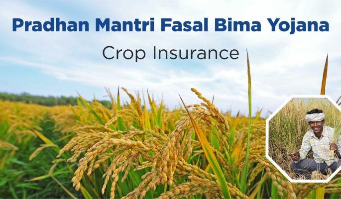 Crop insurance portal hang; Millions of farmer will deprived | पीक विम्याचे पोर्टल झाले हँग; लाखो शेतकरी राहणार वंचित Crop insurance portal hang; Millions of farmer will deprived | पीक विम्याचे पोर्टल झाले हँग; लाखो शेतकरी राहणार वंचित