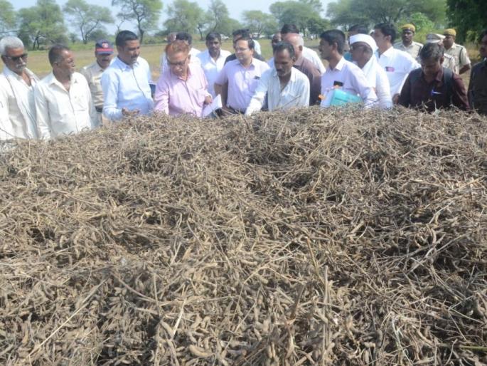 Central team monitors crop loss in Washim district | केंद्रीय पथकाकडून वाशिम जिल्ह्यातील पीक नुकसानाची पाहणी Central team monitors crop loss in Washim district | केंद्रीय पथकाकडून वाशिम जिल्ह्यातील पीक नुकसानाची पाहणी