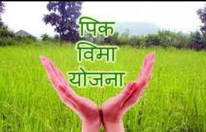 Deadline to participate in crop insurance plan tomorrow! | पीक विमा योजनेत सहभागी होण्याची उद्या अंतीम मुदत!