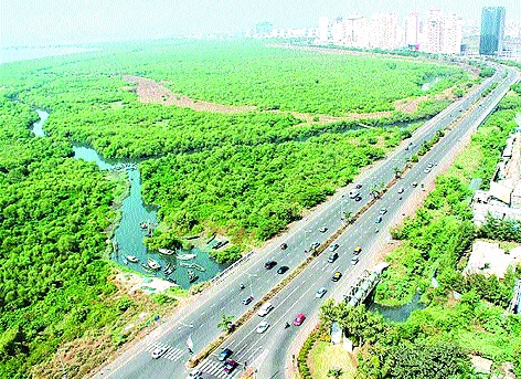 CRZ hearing completed, district administration clarified | सीआरझेडची सुनावणी पूर्ण, जिल्हा प्रशासनाने केले स्पष्ट CRZ hearing completed, district administration clarified | सीआरझेडची सुनावणी पूर्ण, जिल्हा प्रशासनाने केले स्पष्ट