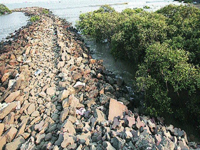 'CRZ' misleading Koliwada | कोळीवाड्याची दिशाभूल करणारा ‘सीआरझेड’ 'CRZ' misleading Koliwada | कोळीवाड्याची दिशाभूल करणारा ‘सीआरझेड’