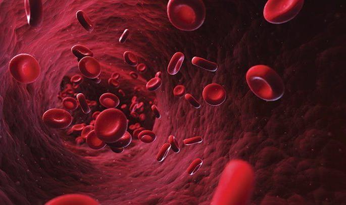 More than half of girls and women in Nagpur district suffer from anemia; Danger of ‘Omicron’ | नागपूर जिल्ह्यातील अर्ध्याहून अधिक मुली-महिला ‘ॲनेमिया’ग्रस्त; ‘ओमायक्रॉन’चा धोका More than half of girls and women in Nagpur district suffer from anemia; Danger of ‘Omicron’ | नागपूर जिल्ह्यातील अर्ध्याहून अधिक मुली-महिला ‘ॲनेमिया’ग्रस्त; ‘ओमायक्रॉन’चा धोका