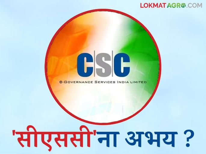 Bogus Crop Insurance : Why is 'CSC' immune in the bogus crop insurance case? Read in detail | Bogus Crop Insurance : बोगस पीक विमा प्रकरणी 'सीएससी'ना अभय का? वाचा सविस्तर Bogus Crop Insurance : Why is 'CSC' immune in the bogus crop insurance case? Read in detail | Bogus Crop Insurance : बोगस पीक विमा प्रकरणी 'सीएससी'ना अभय का? वाचा सविस्तर