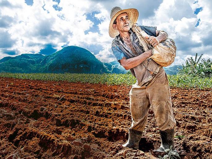 India in cuba | क्यूबातला भारत! India in cuba | क्यूबातला भारत!