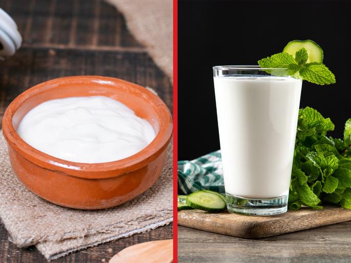curd or buttermilk which is best for your health | दही की ताक... आरोग्यासाठी सर्वात बेस्ट काय? फायदे समजल्यावर व्हाल चकित