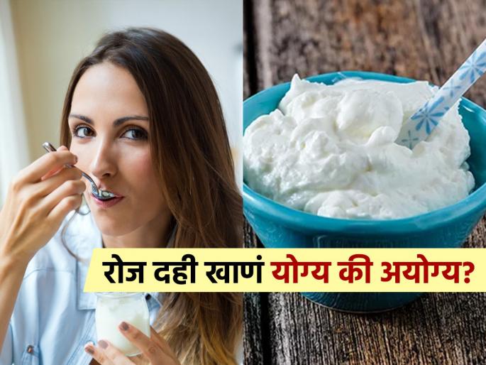 Is eating curd every day good for you exploring the health benefits and considerations | रोज दही खाणं फायदेशीर की नुकसानकारक? जाणून घ्या कुणी खाणं टाळलं पाहिजे