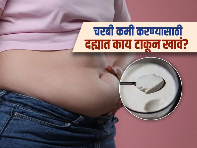 Curd mixed with black salt and black pepper to reduce fat from your body | फक्त दोन गोष्टी दह्यात कालवून खा, भरमसाठ वाढलेली चरबी होईल झरझर कमी