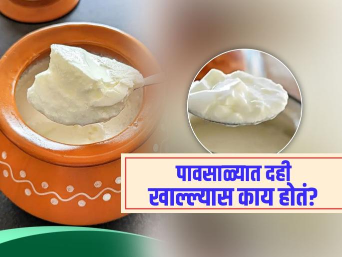 Can you eat curd in monsoon know what Ayurveda doctor tells about it | उन्हाळ्यात तर भरपूर खाल्लं असेल, पण पावसाळ्यात दही खावं का? वाचा आयुर्वेदतज्ज्ञ काय सांगतात..