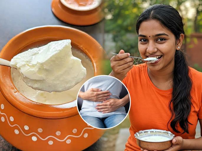 Eat curd but 'these' mistakes can spoil your health, remember this during monsoon, health tips | दही खा पण ’या’ चुका बिघडवतात पोट, पावसाळ्यात तर येते ॲडमिट व्हायची वेळ.