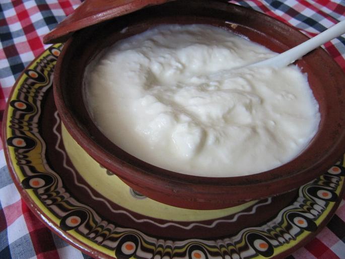 blood pressure patient should eat dahi regularly says study | उच्च रक्तदाब असलेल्यांसाठी रोज दही खाणे म्हणजे आजारावर रामबाण, अभ्यासातील निष्कर्ष