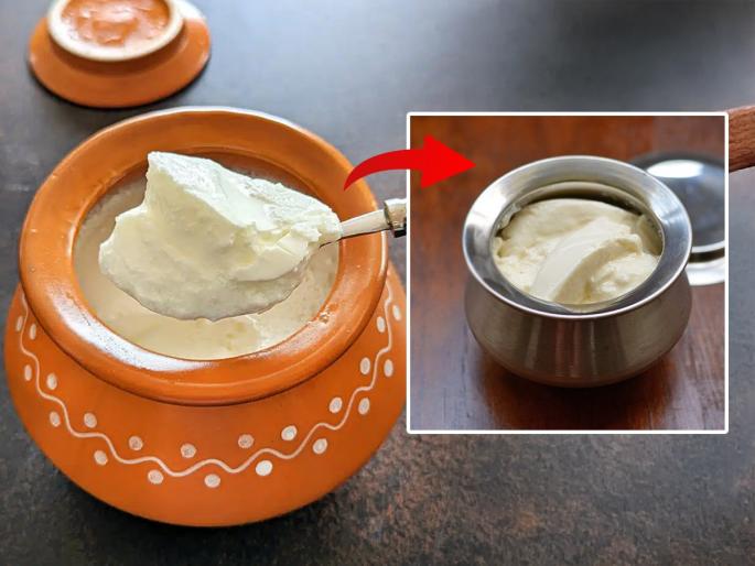 How to make thick curd at home without sourness Simple tricks to fix sour curd starter Simple tricks to fix sour curd starter | घरी विरजण लावलेले दही आंबट होते? १ सोपी ट्रिक - आंबटपणा जाऊन दही होईल घट्ट