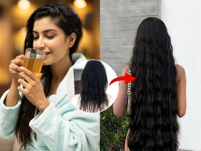Curry Leave For Hair Growth Try This 5 Minute Curry Leaves Tea For Strong Silky Hair Curry leaves tea for hair growth Simple curry leaves drink for hair | प्या कपभर कडीपत्त्याचा चहा! केसांची खुंटलेली वाढ, केसगळती होईल कमी - केस वाढतील भराभर...