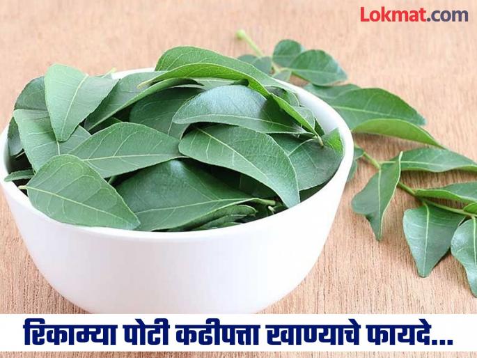 Amazing benefits of eating curry leaves on empty stomach daily | रोज सकाळी रिकाम्या पोटी खा कढीपत्त्याची काही पाने, फायदे वाचाल तर रोज खाल! Amazing benefits of eating curry leaves on empty stomach daily | रोज सकाळी रिकाम्या पोटी खा कढीपत्त्याची काही पाने, फायदे वाचाल तर रोज खाल!