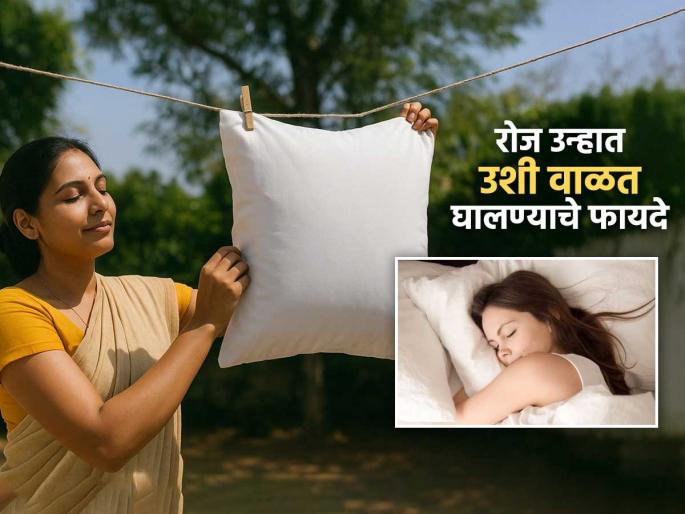 Benefits of keeping the pillow in the sunlight daily | रोज काही वेळ उन्हात ठेवा उशी, झोपही सुधारेल आणि इतरही अनेक मिळतील फायदे