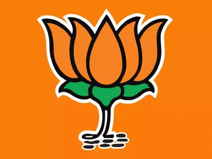 BJP's victory in Dhanki nagar panchayat election | ढाणकी पोटनिवडणुकीत दोन्ही जागांवर भाजपची बाजी BJP's victory in Dhanki nagar panchayat election | ढाणकी पोटनिवडणुकीत दोन्ही जागांवर भाजपची बाजी