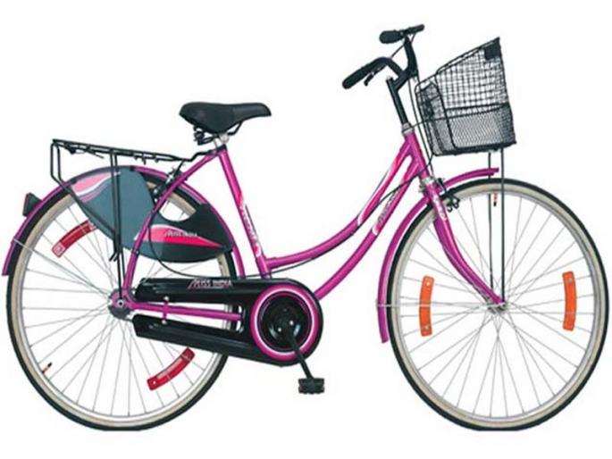 1 thousand 554 of Nandurbar deprived of Savli's subsidy leaky bicycle | नंदुरबारातील 1 हजार 554 सावित्रीच्या लेकी सायकलीच्या अनुदानापासून वंचित 1 thousand 554 of Nandurbar deprived of Savli's subsidy leaky bicycle | नंदुरबारातील 1 हजार 554 सावित्रीच्या लेकी सायकलीच्या अनुदानापासून वंचित
