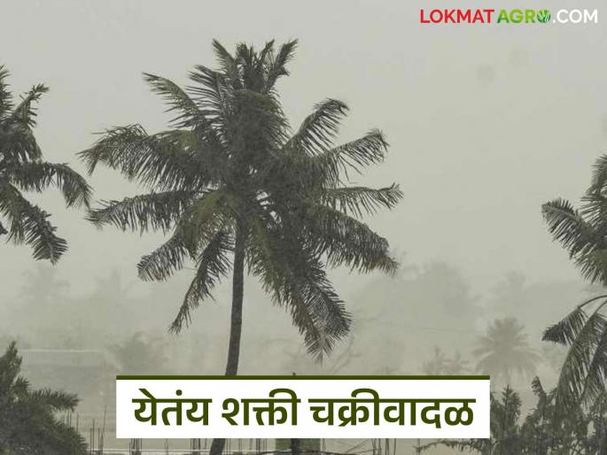 Cyclone Shakti : Cyclone Shakti: Rain likely in the state for two days next week | Cyclone Shakti: चक्रीवादळ 'शक्ती'चा परिणाम पुढील आठवड्यात राज्यात दोन दिवस पावसाची शक्यता