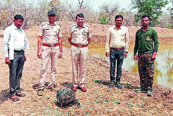 one more cylinder falling from the sky were found at the Tadoba Tiger Project | ताडोबा व्याघ्र प्रकल्पातही आढळले आकाशातून पडलेले सिलिंडर
