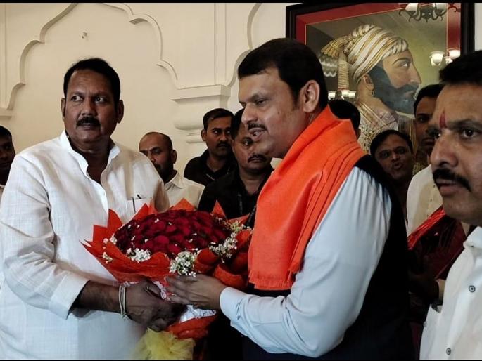 Ajit Pawar forced Sharad Pawar to go to Raigad, Devendra Fadnavis's troop | अजित पवार यांनी शरद पवारांना रायगडावर जायला भाग पाडले, देवेंद्र फडणवीस यांचा टोला