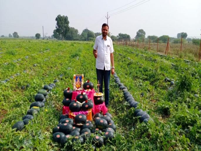Sakri's Kalingad goes abroad directly | साक्रीचे कलिंगड जातात थेट विदेशात Sakri's Kalingad goes abroad directly | साक्रीचे कलिंगड जातात थेट विदेशात