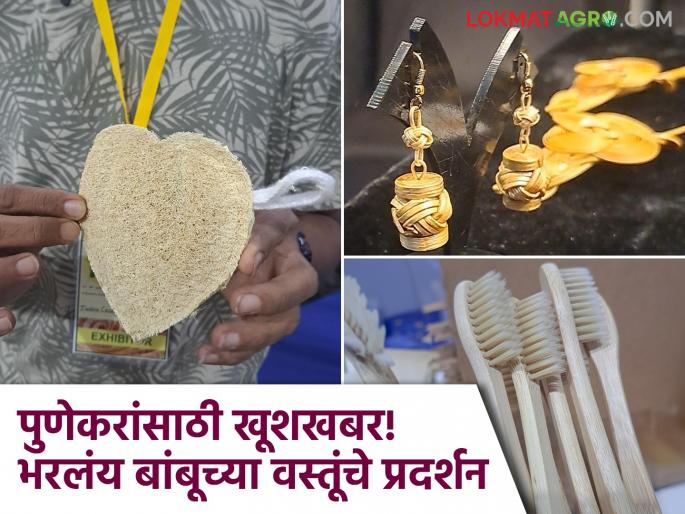 Bamboo Festival Good news for Pune residents! Swargate is filled with an exhibition of bamboo products | Bamboo Festival : पुणेकरांसाठी खूशखबर! स्वारगेटला भरलंय बांबूच्या वस्तूंचं प्रदर्शन Bamboo Festival Good news for Pune residents! Swargate is filled with an exhibition of bamboo products | Bamboo Festival : पुणेकरांसाठी खूशखबर! स्वारगेटला भरलंय बांबूच्या वस्तूंचं प्रदर्शन