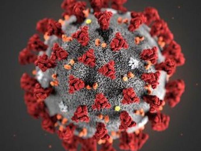 The number of corona patients increased in the city of Pimpalner | पिंपळनेर शहरात कोरोना रुग्ण संख्या वाढली The number of corona patients increased in the city of Pimpalner | पिंपळनेर शहरात कोरोना रुग्ण संख्या वाढली