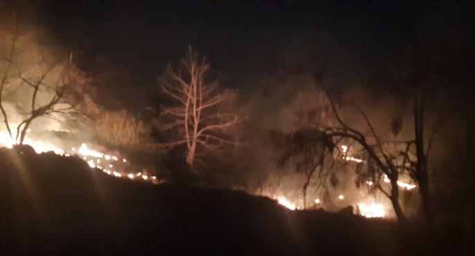 Terrible fire in the hilly areas of Laling Ghat, burning trees to ashes | लळींग घाटातील डोंगराळ भागात भीषण आग, वृक्ष जळून खाक