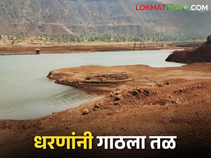 Dam broke! 54 projects in backlog; 52 Dry, | धरणे आटली! बीडमध्ये परिस्थिती गंभीर, ५४ प्रकल्प मृतसाठ्यात; ५२ कोरडे Dam broke! 54 projects in backlog; 52 Dry, | धरणे आटली! बीडमध्ये परिस्थिती गंभीर, ५४ प्रकल्प मृतसाठ्यात; ५२ कोरडे