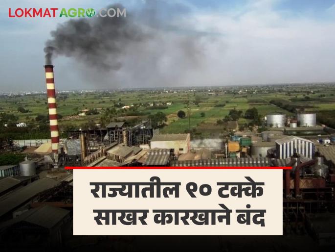 Sugarcane Cruising Season 2023-24 185 suhar factory stop crushing farmer frp sugar production | Sugarcane Crushing Season : राज्यातील ९० टक्के साखर कारखान्यांचे गाळप थांबले; किती झाले साखर उत्पादन?