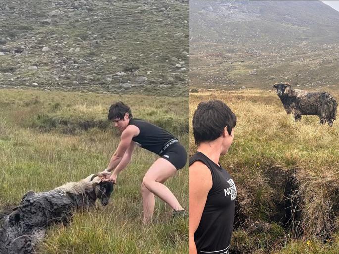 Viral Video : Woman saves sheep from dying video goes viral | VIDEO : दलदलमध्ये अडकून मरणार होती मेंढी, देवदूत बनून आली महिला आणि केलं असं काम... Viral Video : Woman saves sheep from dying video goes viral | VIDEO : दलदलमध्ये अडकून मरणार होती मेंढी, देवदूत बनून आली महिला आणि केलं असं काम...