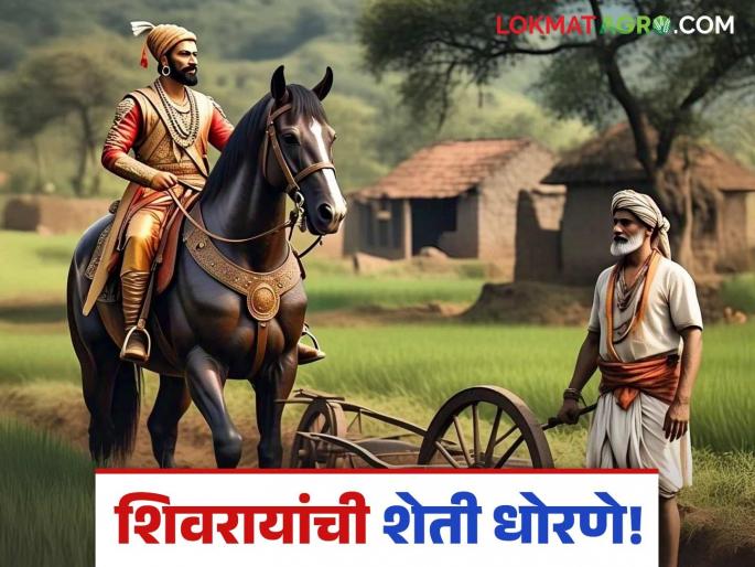 Chhatrapati Shivaji Maharaj Jayanti: Why did not a single farmer commit suicide during Shivaji's reign? What were Shivaji's agricultural policies? | Chhatrapati Shivaji Maharaj: शिवरायांच्या काळात एकही शेतकरी आत्महत्या का झाली नाही? शिवरायांची शेती धोरणे काय होती? Chhatrapati Shivaji Maharaj Jayanti: Why did not a single farmer commit suicide during Shivaji's reign? What were Shivaji's agricultural policies? | Chhatrapati Shivaji Maharaj: शिवरायांच्या काळात एकही शेतकरी आत्महत्या का झाली नाही? शिवरायांची शेती धोरणे काय होती?