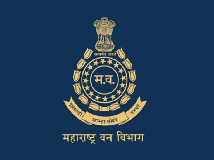 Despite the government directive, the posting of RFOs in the forest department was stopped | शासन निर्देशानंतरही वनविभागातील आरएफओंच्या पदस्थापना रखडल्या Despite the government directive, the posting of RFOs in the forest department was stopped | शासन निर्देशानंतरही वनविभागातील आरएफओंच्या पदस्थापना रखडल्या