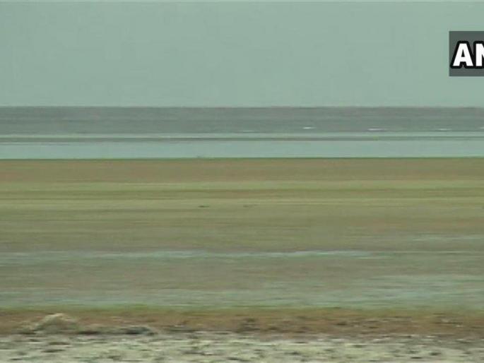 No fodder no water; Drought famine creates life ... | ना चारा ना पाणी; दुष्काळ कळांनी जीव कासावीस... No fodder no water; Drought famine creates life ... | ना चारा ना पाणी; दुष्काळ कळांनी जीव कासावीस...