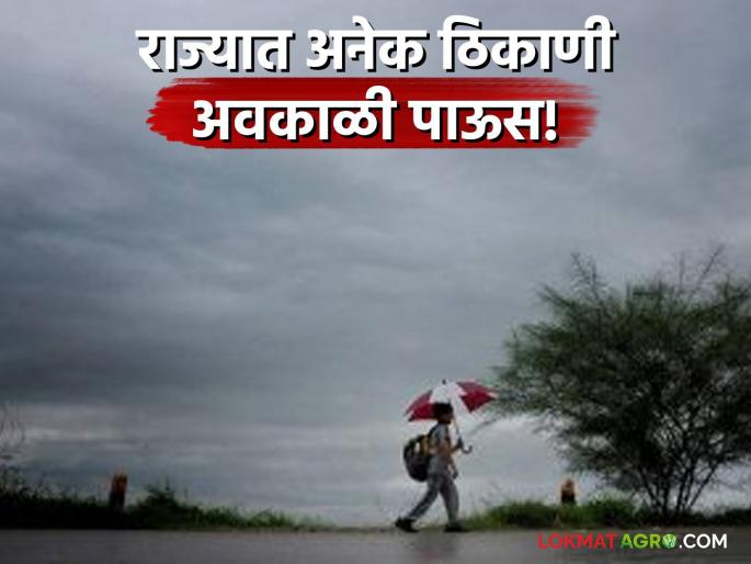 Maharashtra Unseasonal rain in many places in Maharashtra! Cloudy weather for two days | Maharashtra Rain : महाराष्ट्रात अनेक ठिकाणी अवकाळी पाऊस! दोन दिवसांपासून ढगाळ वातावरण Maharashtra Unseasonal rain in many places in Maharashtra! Cloudy weather for two days | Maharashtra Rain : महाराष्ट्रात अनेक ठिकाणी अवकाळी पाऊस! दोन दिवसांपासून ढगाळ वातावरण