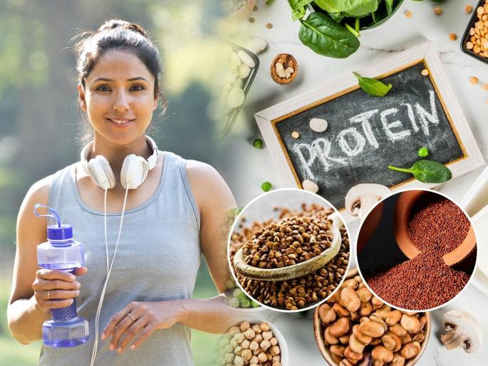 Top 5 Indian Grains which are high in protein : If you want to increase protein in your diet, eat these 5 Indian grains; A gluten free option rich in fiber | आहारात प्रोटीन वाढवायचं तर खा ही ५ धान्ये; फायबरचा खजिना असलेले ग्लुटेन फ्री पर्याय