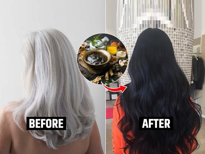 Turn White Hairs Into Black With Help Of Ayurveda : White hair will turn black even without dye, 5 easy solutions; Hair will be Black... | डाय न करताही पांढरे केस होतील काळे, ५ सोपे उपाय; केस होतील काळेभोर...