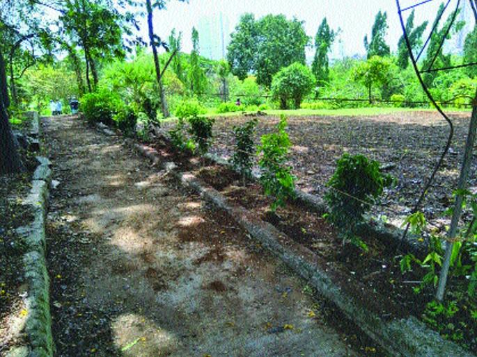 Naturopramis received the small Kashmiri! | निसर्गप्रेमींनी प्राप्त करून दिले छोटा काश्मीरला पूर्वरूप! Naturopramis received the small Kashmiri! | निसर्गप्रेमींनी प्राप्त करून दिले छोटा काश्मीरला पूर्वरूप!