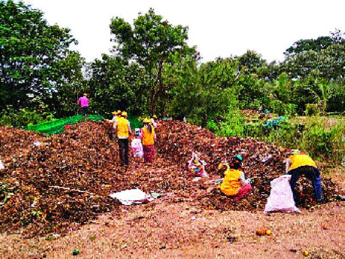 Nirmalya compilation manufactures, up to 350 tonnes of availability from 26 locations in Pune area | निर्माल्य संकलनातून खतनिर्मिती, पुणे परिसरातील २६ ठिकाणी उपक्रमांतून ३५० टन उपलब्धता Nirmalya compilation manufactures, up to 350 tonnes of availability from 26 locations in Pune area | निर्माल्य संकलनातून खतनिर्मिती, पुणे परिसरातील २६ ठिकाणी उपक्रमांतून ३५० टन उपलब्धता