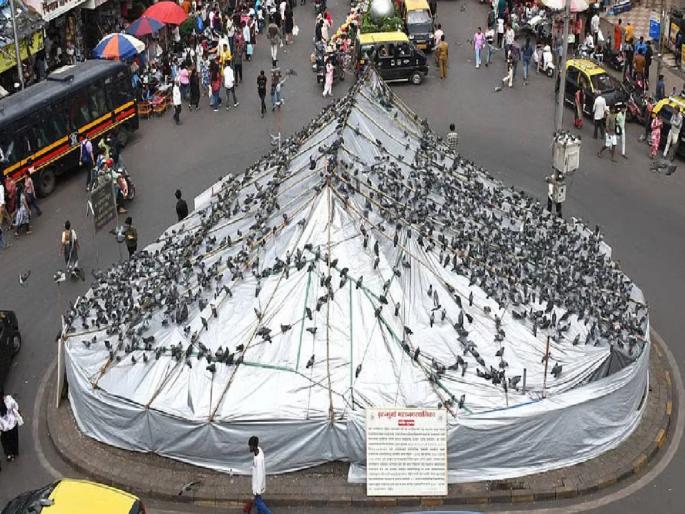 Will take up arms for kabutarkhana if necessary Jain Muni Nilesh Chandra Vijay statement sparks new controversy | गरज पडल्यास कबुतरखान्यासाठी शस्त्र उचलणार; जैन मुनी नीलेशचंद्र विजय यांच्या वक्तव्याने नवा वाद