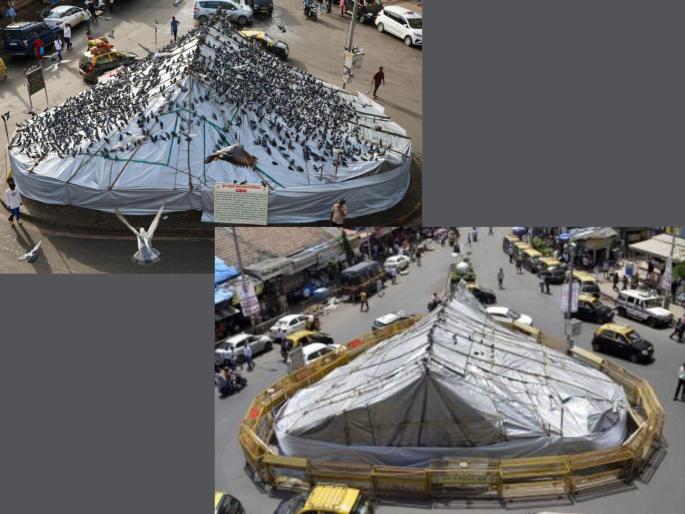 Where did the pigeons go? Grain sellers also folded; Dadar's pigeon coop completely closed | गेली कबुतरे कुणीकडे? दाणे विक्रेत्यांनीही गाशा गुंडाळला; दादरचा कबुतरखाना पूर्णपणे बंद Where did the pigeons go? Grain sellers also folded; Dadar's pigeon coop completely closed | गेली कबुतरे कुणीकडे? दाणे विक्रेत्यांनीही गाशा गुंडाळला; दादरचा कबुतरखाना पूर्णपणे बंद