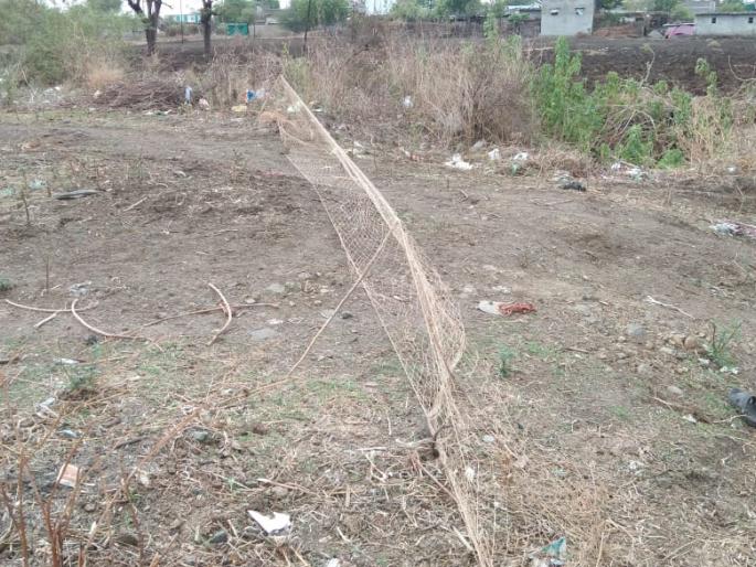 Daytime wildlife hunting in Dagad-Umra area | दगड-उमरा परिसरात दिवसाढवळ्या वन्यप्राण्यांची शिकार Daytime wildlife hunting in Dagad-Umra area | दगड-उमरा परिसरात दिवसाढवळ्या वन्यप्राण्यांची शिकार