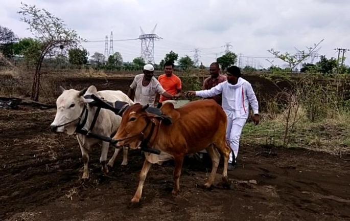 Delay in Crop loans; Sowing of stones by the office bearers of 'Swabhimani' | पीककर्जास विलंब; ‘स्वाभिमानी’च्या पदाधिकाऱ्यांकडून दगडाची पेरणी Delay in Crop loans; Sowing of stones by the office bearers of 'Swabhimani' | पीककर्जास विलंब; ‘स्वाभिमानी’च्या पदाधिकाऱ्यांकडून दगडाची पेरणी