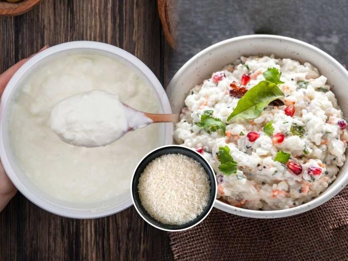 Make delicious thick curd rice with cucumber and carrots, light for digestion and a pleasure in every bite!! | काकडी आणि गाजर घालून करा चविष्ट गारेगार दहीभात, पचनासाठी हलकी आणि प्रत्येक घासात सुख !! Make delicious thick curd rice with cucumber and carrots, light for digestion and a pleasure in every bite!! | काकडी आणि गाजर घालून करा चविष्ट गारेगार दहीभात, पचनासाठी हलकी आणि प्रत्येक घासात सुख !!