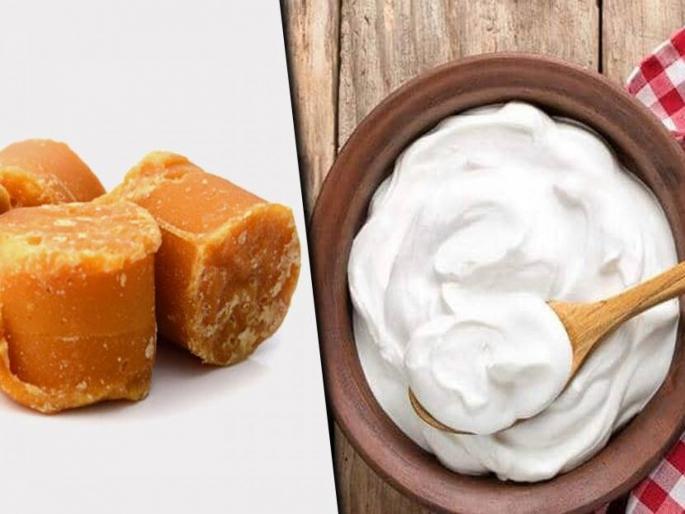 Eat yogurt and jaggery; Boost the immune system and keep other problems away ... | दही आणि गुळ खा; रोगप्रतिकारक शक्ती वाढवा अन् इतरही समस्या दूर ठेवा... Eat yogurt and jaggery; Boost the immune system and keep other problems away ... | दही आणि गुळ खा; रोगप्रतिकारक शक्ती वाढवा अन् इतरही समस्या दूर ठेवा...