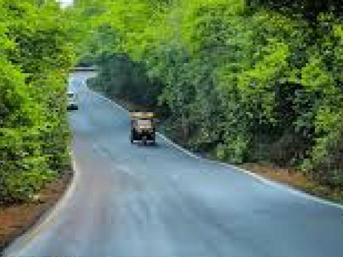 All types of traffic on the Dajipur to Radhanagari route will be closed for 45 days | Kolhapur: राधानगरी-दाजीपूर मार्ग ४५ दिवस बंद राहणार, कुठून वळवण्यात आली वाहतूक..जाणून घ्या