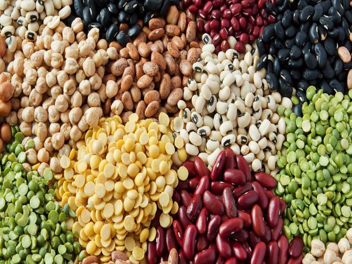 Heavy rains cause major damage to cereals and other crops | यंदाची दिवाळी गोड होणार, पण नव्या वर्षात डाळींचे दर भडकणार Heavy rains cause major damage to cereals and other crops | यंदाची दिवाळी गोड होणार, पण नव्या वर्षात डाळींचे दर भडकणार